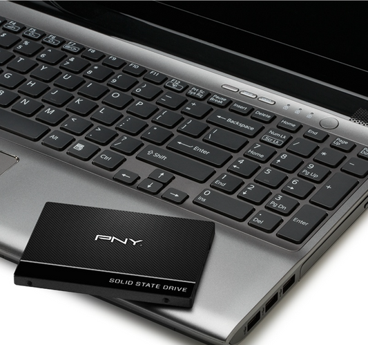 SSD INTERNO PNY 120GB CS900 SATA 2.5P SSD7CS900 120 RB
